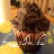 Csokoládékrémes muffin
